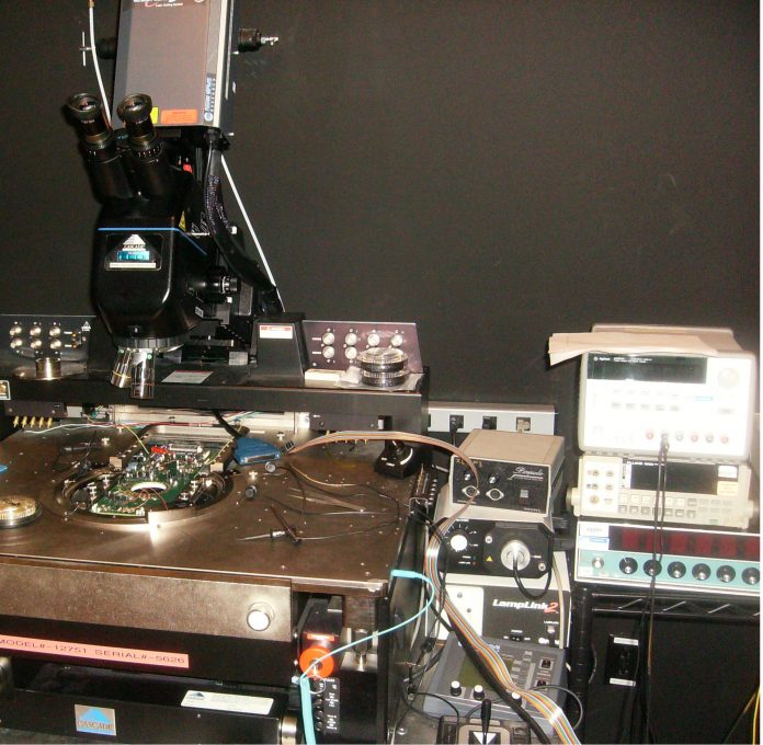 lab
