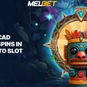 Best Bitcoin and Crypto Casinos in Norway – 5 BTC Bonuses