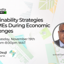 Sustainability Strategies for SMEs During Economic Challenges – Tekedia Mini-MBA