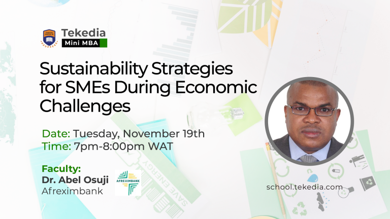 Sustainability Strategies for SMEs During Economic Challenges – Tekedia Mini-MBA