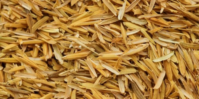 rice husks biochar