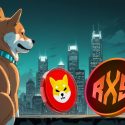 Shiba Inu (SHIB) vs. Ripple (XRP) vs. Rexas Finance (RXS): Which One Is the Best Coin to Hold for January 2025 Gains?