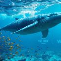 Whales Move from SHIB and WIF to DEBO – Why It’s the Next Memecoin to Explode