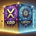 Ripple (XRP) Price Prediction: XRP Set To Lead Next Bull Run, Cardano Struggles As Yeti Ouro Continues To Surge