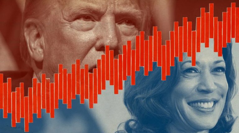 Do Not Distort My Analysis on Trump-Biden-Harris 2024 Election