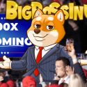 BIG BOSS INU Breaks Records: $100,000 Raised in Presale, What’s Next?