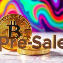 Meme Coins With Mega Potential: Discover the 5 Best Crypto Presales to Buy and Hold Now!