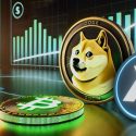 Dogecoin Price May Take Longer to Reach $1, While RCO Finance Prepares to Hit $3 by March 2025