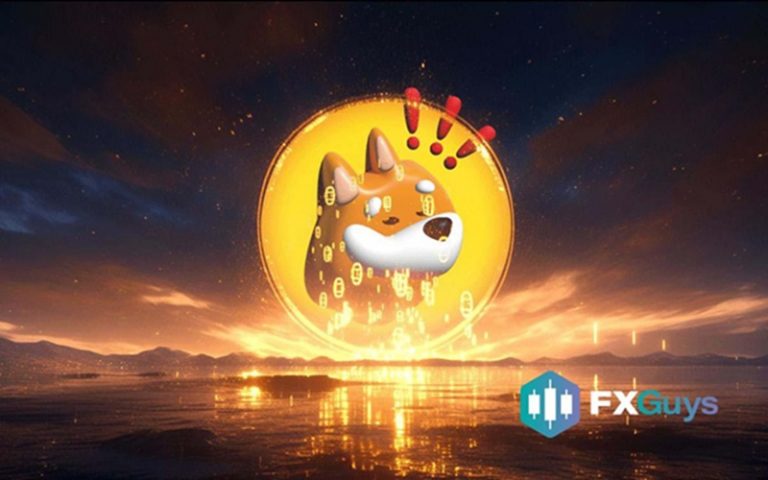 Bonk Mania Is Over – FXGuys Takes the Spotlight With a $4M Breakthrough