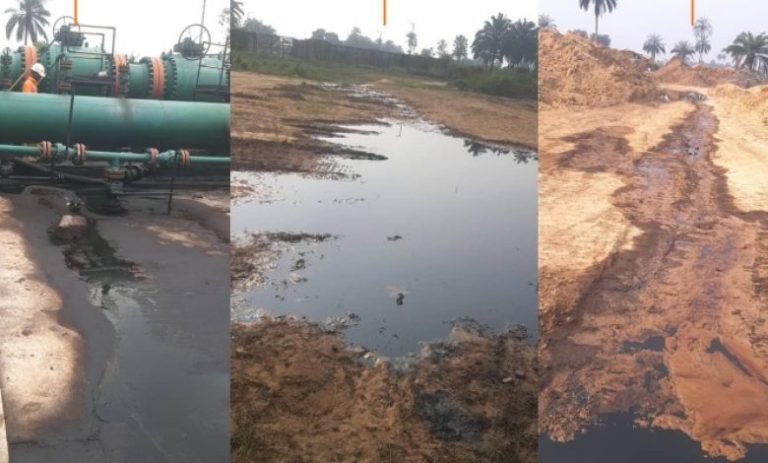 FUET and the Ogoni Struggle: A University Built on Justice and Hope