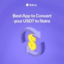 Secure and Fast USDT to Naira Transactions: Why Choose Ridima