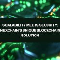 Ongoing Presale on Nexchain.ai – AI-Powered Blockchain for Web3