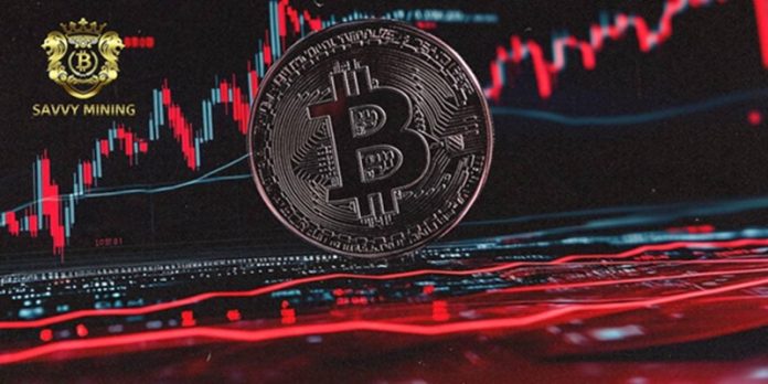 CREATOR: gd-jpeg v1.0 (using IJG JPEG v80), quality = 82