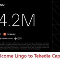 Tekedia Capital Welcomes Lingo.dev
