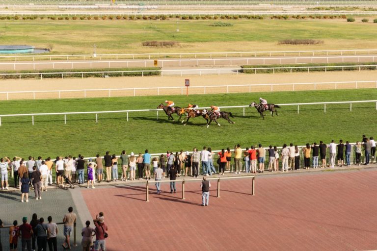 The Impact of Data and Analytics on Modern Sports Betting