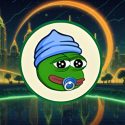 Top Ethereum and Cardano Wallets Spotted Buying Little Pepe (LILPEPE) Under $0.0015, Should You Too?