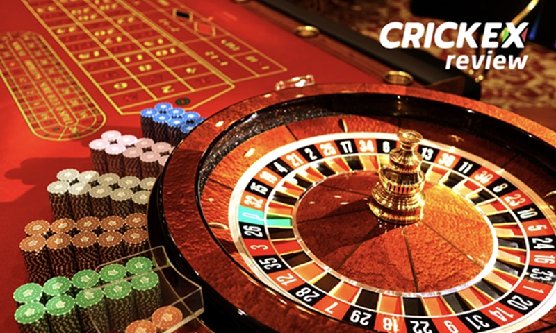 From Passion to Profit: The Ultimate Guide to Sports Betting Tactics – Tips from the Experts