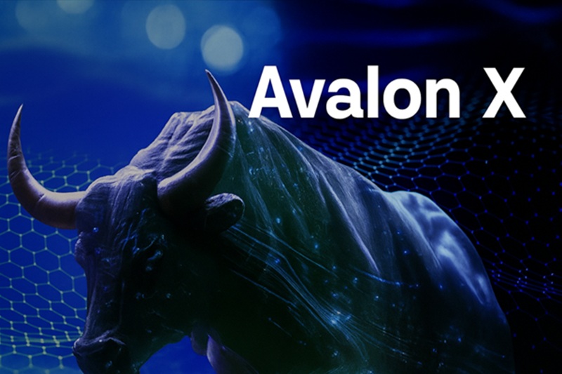 Avalon X (AVLX) Taps Into Grupo Avalon’s Real Estate Backing — Will Bitcoin & Solana Hold Their Dominance