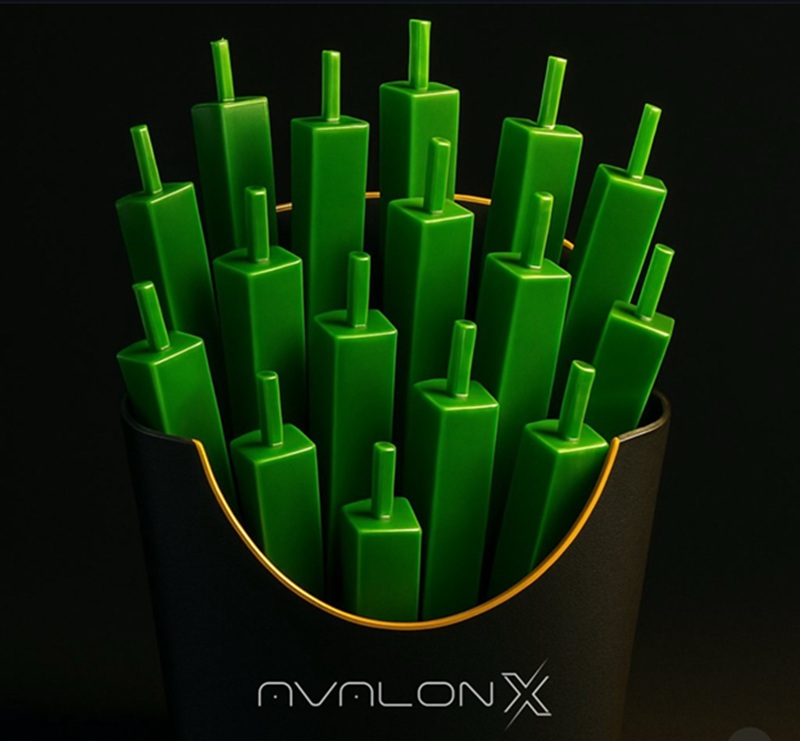 Top Performing Cryptos Of 2025: Avalon X, Dogecoin, Shiba Inu, Ethereum