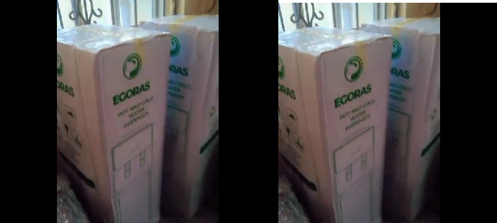 We’re All Egoras in Our New Office