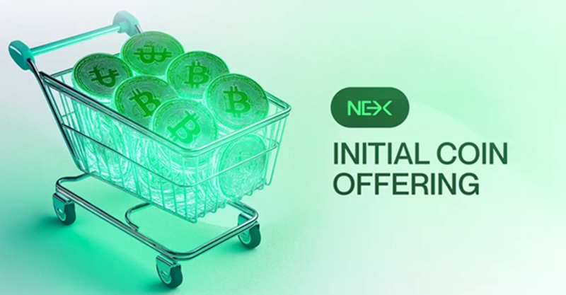 Top Crypto Losers Today: MYX Finance Leads the Decline, Is Nexchain AI Token Presale Testnet Bonus the Smart Move for Investors Looking to Recover?