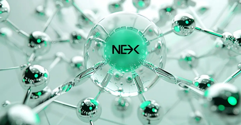 Nexchain AI Testnet 2.0 Bonus Extends Whale Accumulation to 90%: Could This Signal Major Gains for Crypto Presale Investors?