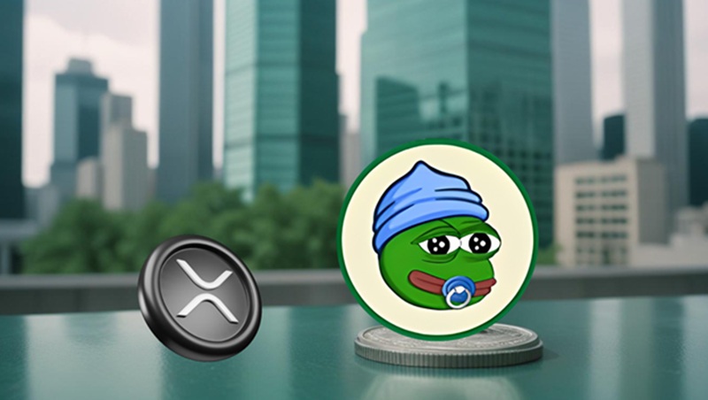 Post-Liquidation Market Outlook: What’s in Store for Little Pepe (LILPEPE) and Ripple (XRP) Price by the End of 2025 Post-Liquidation Market Outlook: What’s in Store for Little Pepe (LILPEPE) and Ripple (XRP) Price by the End of 2025