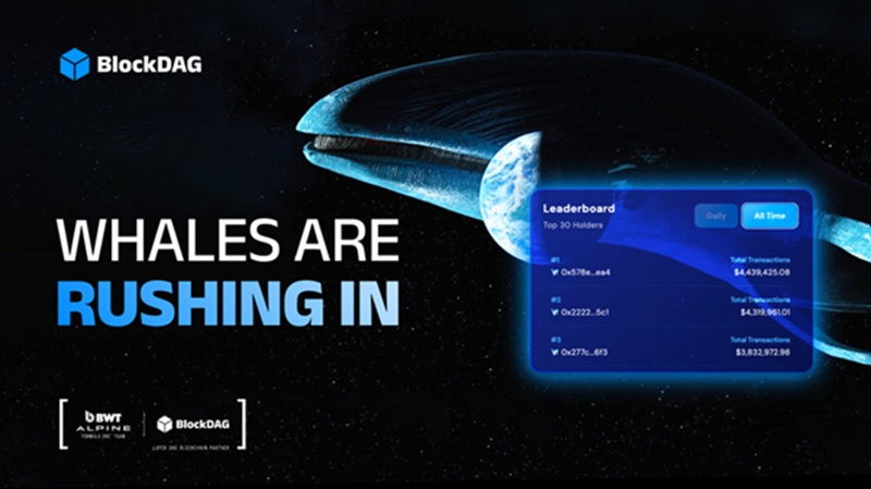 As Hedera Rides a 0M Stablecoin Wave & XRP Whales Exit, BlockDAG’s 4.4M Whale Buys Shift Market Sentiment As Hedera Rides a 0M Stablecoin Wave & XRP Whales Exit, BlockDAG’s 4.4M Whale Buys Shift Market Sentiment