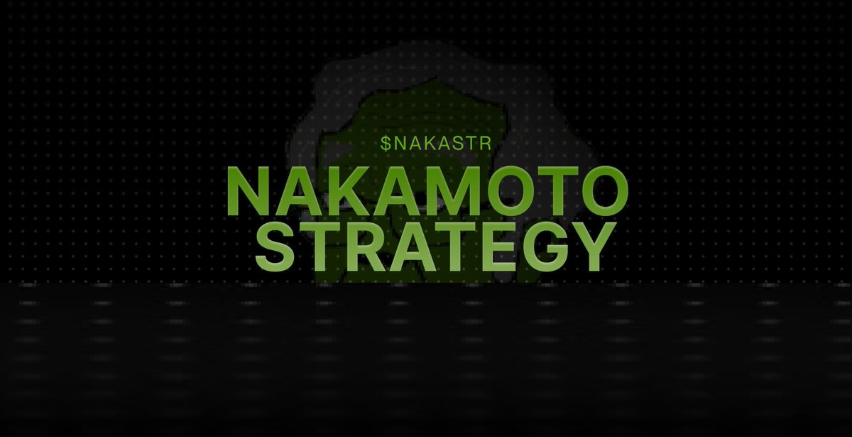 A Look At Tokenworks’ First ERC-1155 Strategy: $NAKASTRY