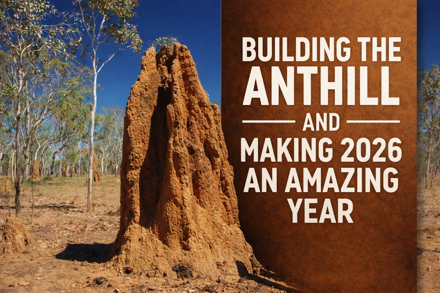 Building the Anthill and Making 2026 An Amazing Year