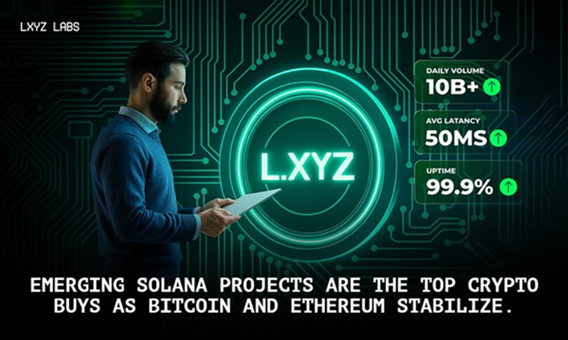 c24523 Table of LXYZ token presale growth and Solana market trends.