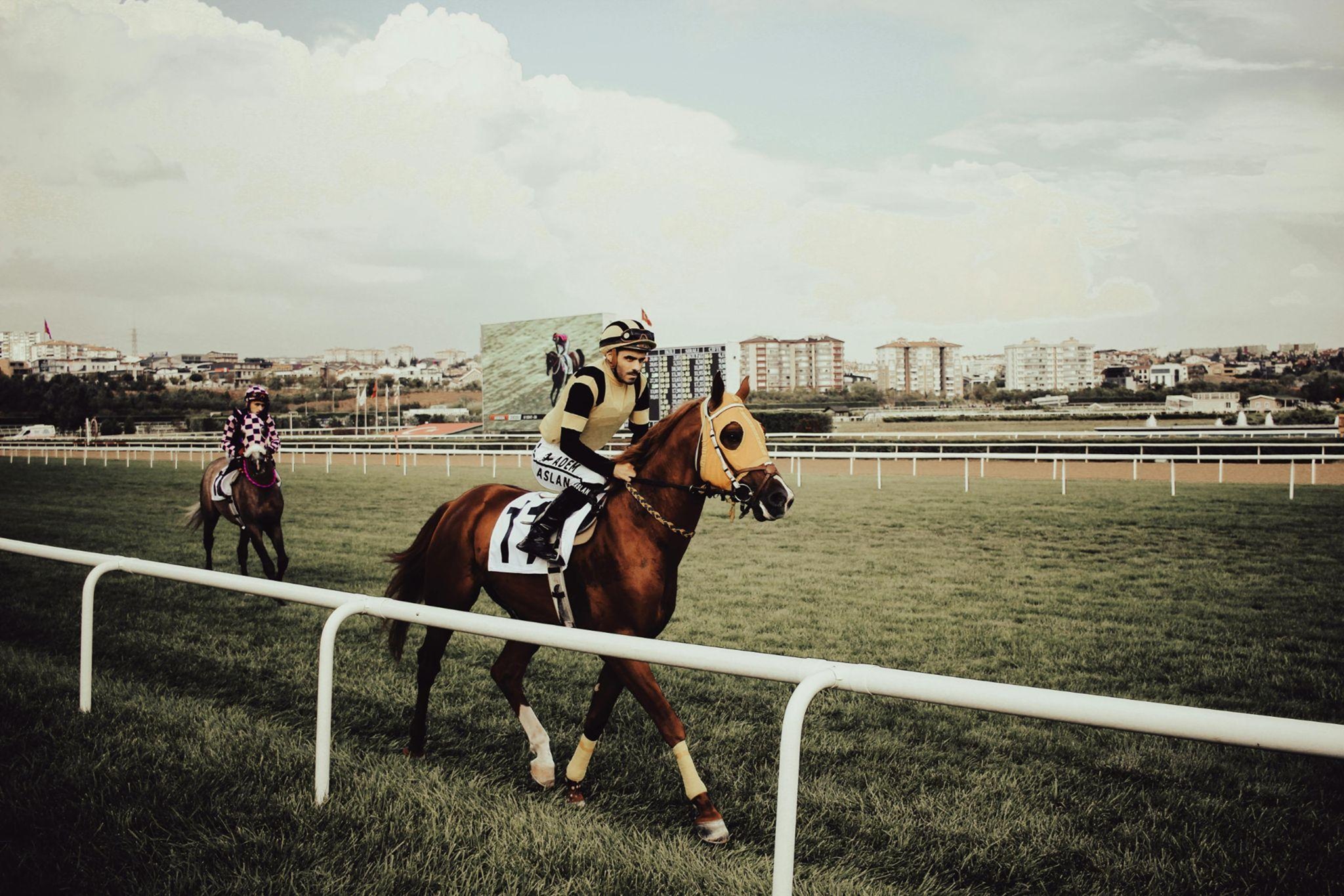 Aqueduct Racing Guide: What New Bettors Should Know