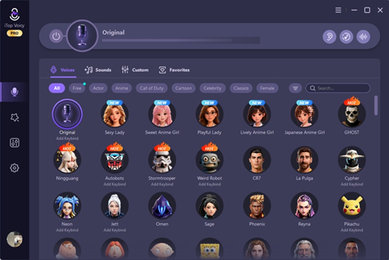 I Used a Voice Changer for PC to Protect My Privacy in Online Voice Chats