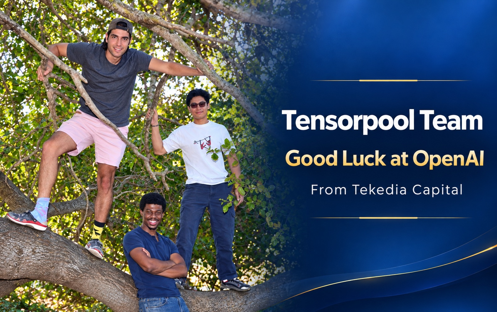 Good Luck Tensorpool Founders at OpenAI – from Tekedia Capital